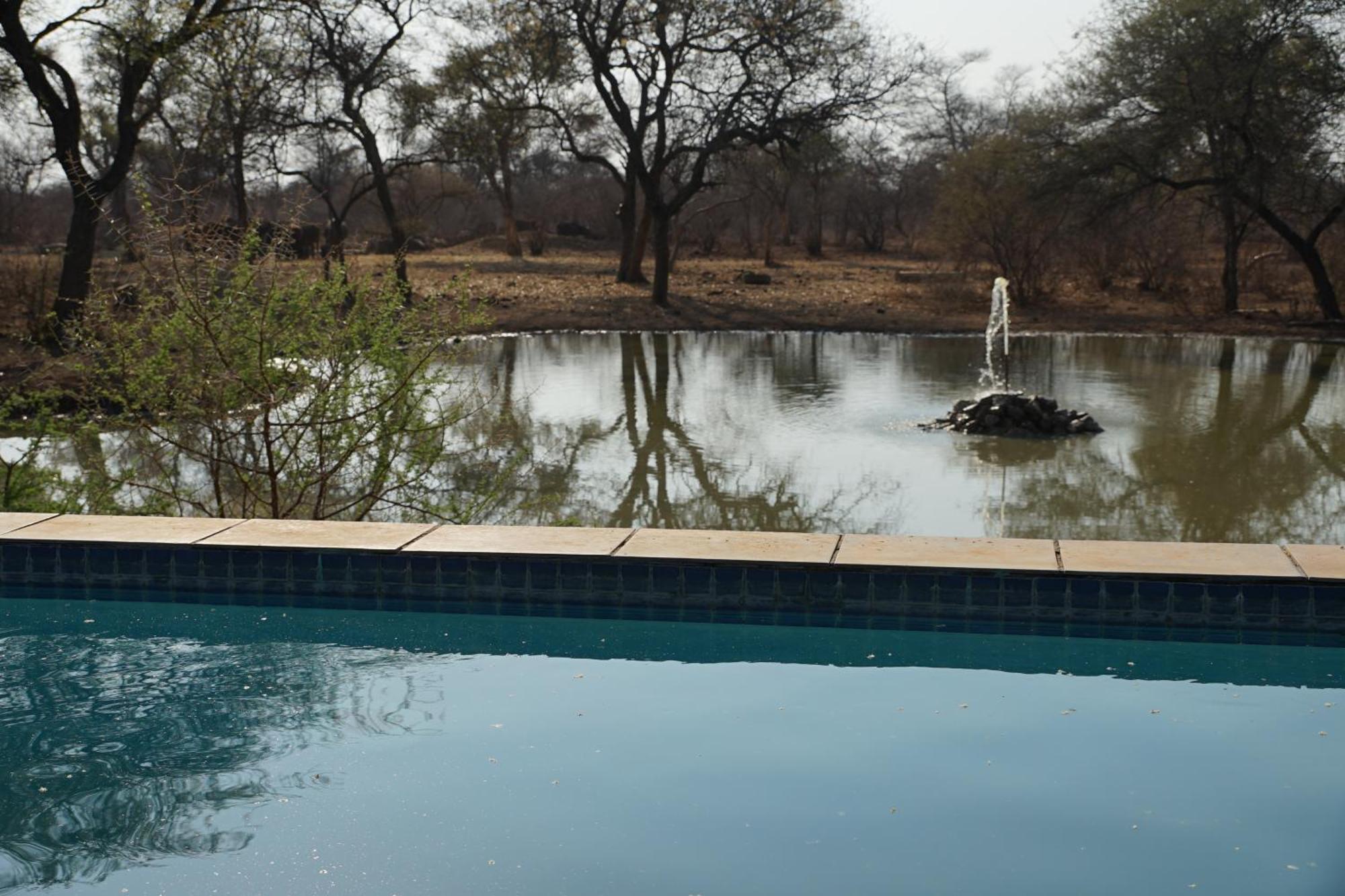Kwele Game Lodge Beauty Ngoại thất bức ảnh